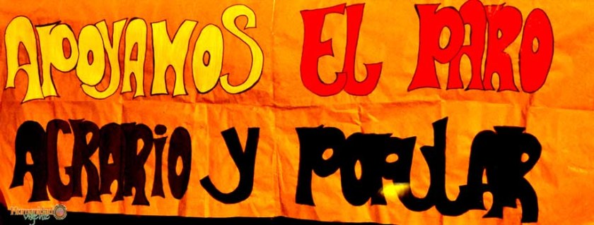 Image Not Found On Media Library