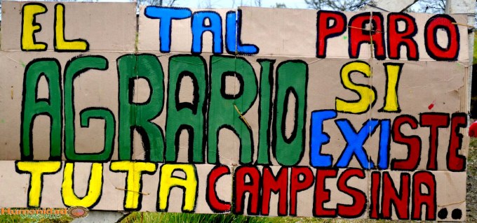 Image Not Found On Media Library