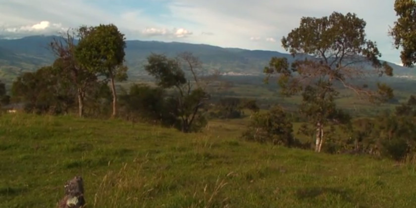 Image Not Found On Media Library