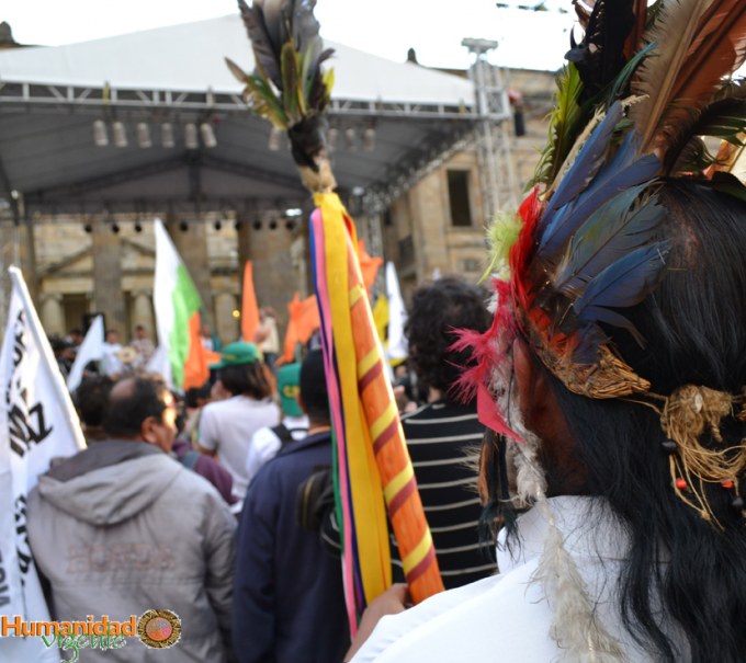 Image Not Found On Media Library