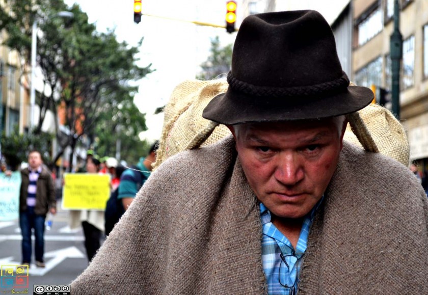 Image Not Found On Media Library