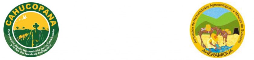 Image Not Found On Media Library