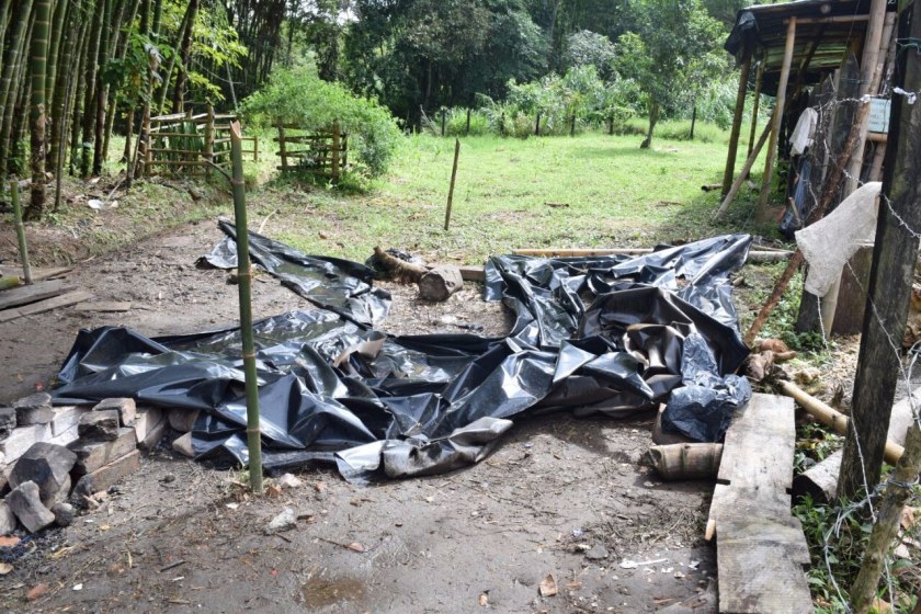 Image Not Found On Media Library