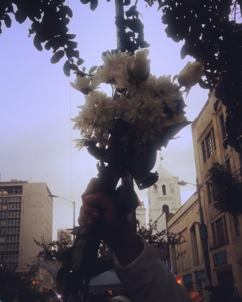 Image Not Found On Media Library