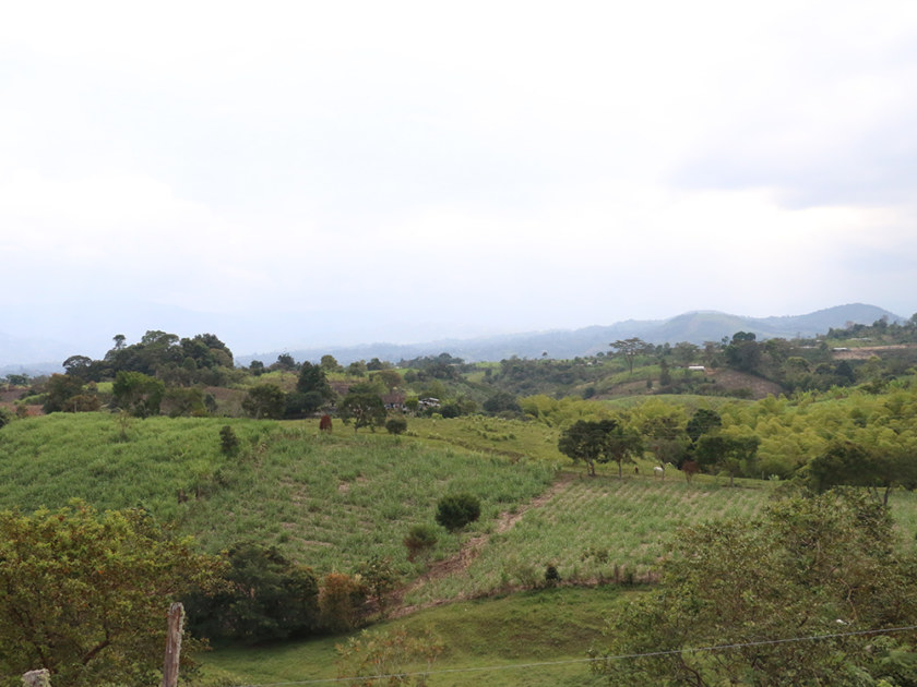 seo- tierras-hv